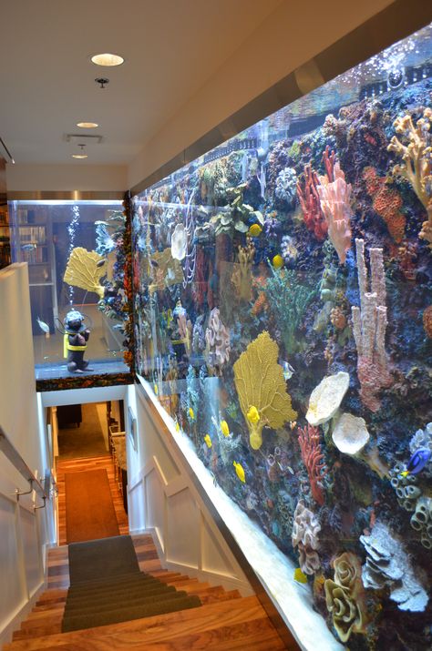 staircase aquarium Aquarium Staircase, Staircase Aquarium, Fish Tank Wall, Aquarium Architecture, Wall Aquarium, Amazing Aquariums, Cool Fish Tanks, Staircase Remodel, Home Aquarium