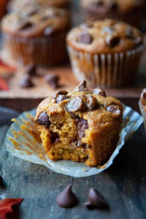 Easy Pumpkin Chocolate Chip Muffins, Pumpkin Chocolate Chip Muffin Recipe, Moist Pumpkin Muffins, Pumpkin Spice Chocolate, Pumpkin Banana Muffins, Best Pumpkin Pie Recipe, Pumpkin Cravings, Pumpkin Muffins Easy, Muffins Recipes