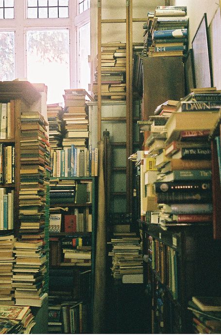 Book Stacks Lots Of Books, Snowdonia, Book Shelf, Book Nooks, Old Books, Library Books, I Love Books, Book Of Life, Love Reading