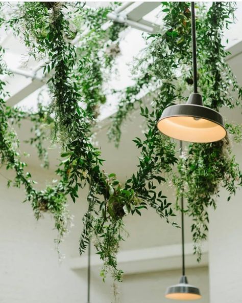 Floral-Foam-Free  Floristry on Instagram: “Garlands of ruscus and white jasmine (with roots attached) re-planted after the event at the client's home. Perfect @kittengraysonflowers 💚” Foliage Wedding Decor, Green Foliage Wedding, Foliage Garland, Urn Arrangements, Jasmine Plant, Foliage Wedding, Elegant Bouquet, White Jasmine, Plant Vase