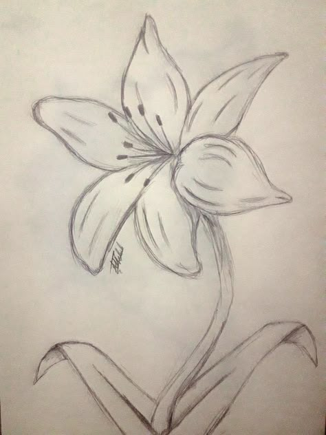 Cute Sketches Flowers, Flower Sketch Reference, Sundrop Flower Drawing, Flowers Aesthetic Sketch, Flower Drawing Detailed, Drawing Of Flowers Easy, Pretty Flowers To Draw, Cute Drawings Flowers, Blooming Flower Drawing