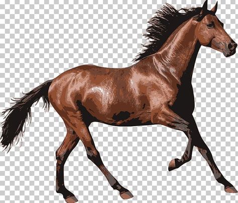 Horse Character Design, Stickers Sketch, Psd Texture, Horse Png, Nature Desktop, Computer Icons, Animal Png, Art Horse, Horse Pony