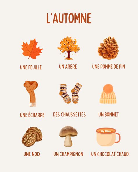 French Preschool Activities, Autumn Words, Words In French, French Autumn, French Study, French Basics, French Flashcards, Basic French Words, Study French