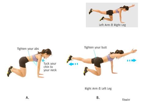 Image result for bird-dog exercise Bird Dog Exercise, Filling Foods, Abs Exercise, Effective Ab Workouts, Bird Dog, Basic Workout, Core Stability, Muscles In Your Body, Dog Exercise