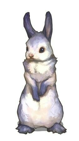 Bunny Artwork, Rabbit Drawing, Bunny Drawing, Rabbit Art, Bunny Art, Fantasy Creatures Art, Anime Animals, Monster Design, Animal Sketches