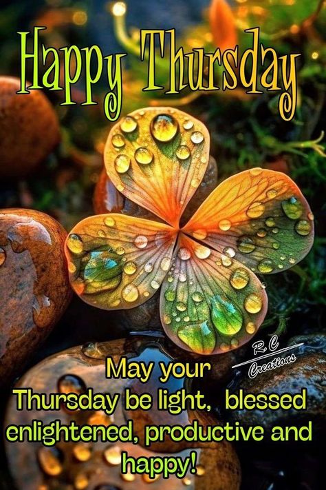 Happy Thursday Images Beautiful, Good Afternoon My Love, Hello May Quotes, Thursday Morning Quotes, Good Morning Messages Friends, Happy Thursday Images, Thursday Images, Thursday Greetings, Good Thursday