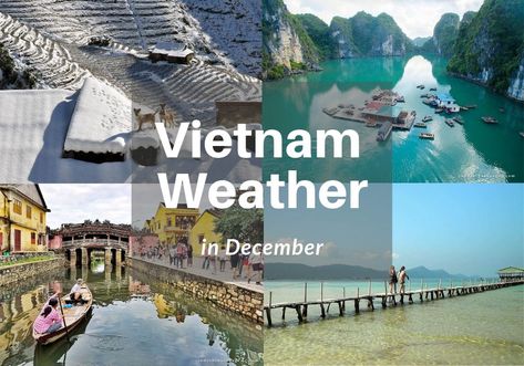 Vietnam is an ideal destination for your escape in such occasions like Christmas and New Year. So let’s find out Vietnam weather in December Vietnam In December, December Weather, Hoi An Old Town, Vietnam Trip, Vietnam Ho Chi Minh, Beautiful Vietnam, Luxury Honeymoon, Vietnam Tours, North Vietnam