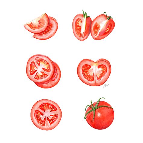 Tomato Cross Section, Fruit And Veg Illustration, Tomato Slice Drawing, Tomato Doodle, Draw Tomato, Tomato Sketch, Tomatoes Illustration, Tomato Tattoo, Tomato Illustration