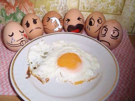 Fried Egg with other Eggs crying funny Funny Eggs, Egg Shell, Food Humor, An Egg, Too Funny, Bones Funny, Ha Ha, Funny Photos, Funny Cute