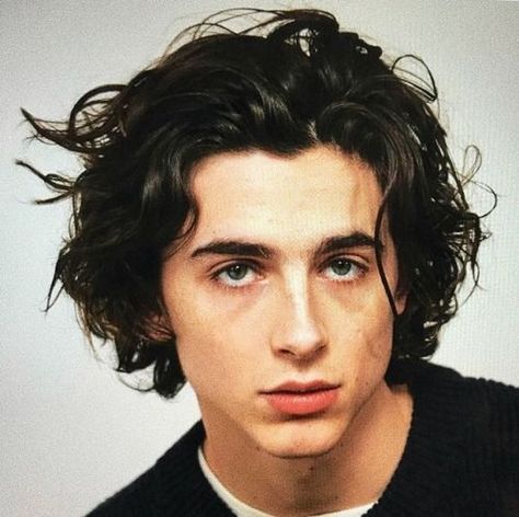 Regulus Acturus Black, Timmy Turner, Timmy T, Austin Butler, Zac Efron, The Perfect Guy, Hot Actors, Hollywood Actor, Timothee Chalamet