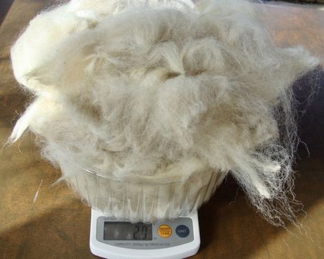 Alpaca Fleece, Baby Camel, Peg Loom, Alpaca Farm, Spinning Wool, Cinnamon Brown, Spinning Yarn, Native Beadwork, Alpaca Fiber