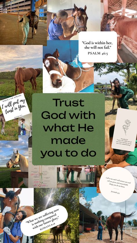 Equine Vet #horses#vet#equinevet#vetmed#veterinarian #veterinarymedicine#aesthetic#christian Equine Vet Tech, Vet Aesthetic, Vet School Motivation, Equine Vet, Equine Veterinarian, Equine Veterinary, Horse Riding Aesthetic, Wildlife Biologist, My Future Job