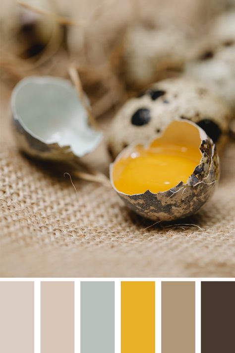 Duck Egg Living Room Ideas, Duck Egg Colour Scheme, Duck Egg Blue Colour Palette Living Room, Duck Egg Color Palette, Duck Egg Colour Palette, Ochre Color Scheme, Duck Egg Blue And Brown Bedroom, Mustard Grey Colour Palette, Blue Grey Mustard Colour Palettes