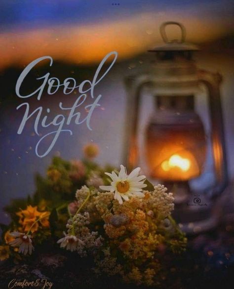 Afternoon Messages, Good Night Qoutes, Good Night Cards, Cute Images For Wallpaper, Beautiful Good Night Quotes, Dinosaur Birthday Cakes, Good Evening Greetings, Evening Greetings, Cute Good Night