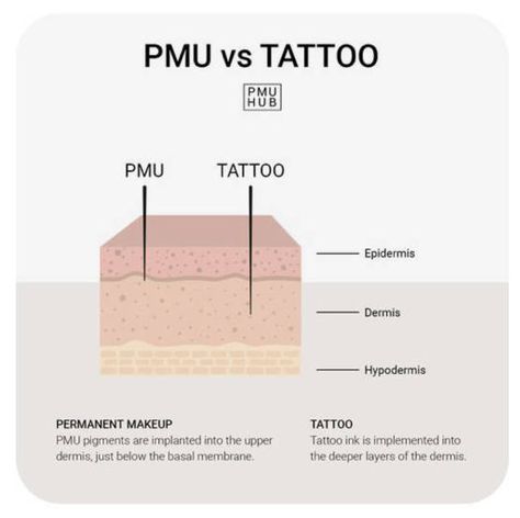 Permanent Cosmetics vs. Traditional Tattoos Vs Tattoo, Permanent Cosmetics, Cosmetic Tattoo, Traditional Tattoos, Permanent Makeup, Microblading, Traditional Tattoo, Body Art Tattoos, Body Art