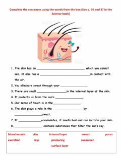 Skin Worksheet, Sense Of Touch, Skin, Quick Saves