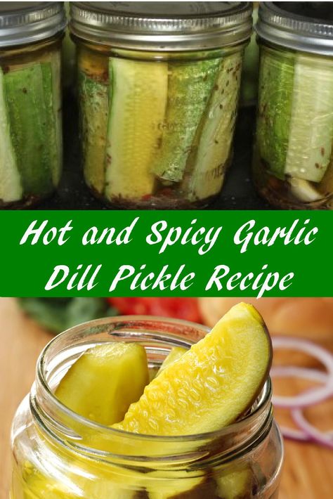 Garlic Dill Pickle Recipe, Spicy Pickle Recipes, Pickled Recipes, Garlic Dill Pickles, Hot Pickles, Pickle Recipes Homemade, Recipes Sides, Dill Pickle Recipe, Dill Recipes