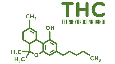 Take a sneaky peek behind the velvet curtain, where we're diving deep into the enigma of the THC molecule. Decoding its complexities and all the hush-hush science-y bits. Come join the soiree and elevate your know-how, only at https://etherealgolddispensary.com/blogs/news/explaining-the-complexities-of-the-thc-molecule #THCSpeakeasy #EtherealGoldSecrets #BehindTheVelvetCurtain #MoleculeMysteries Enigma Tattoo, Molecule Design, Molecule Tattoo, Tattoo Design Book, Design Book, The Velvet, Tattoos Ideas, Tattoo Inspo, Hush Hush