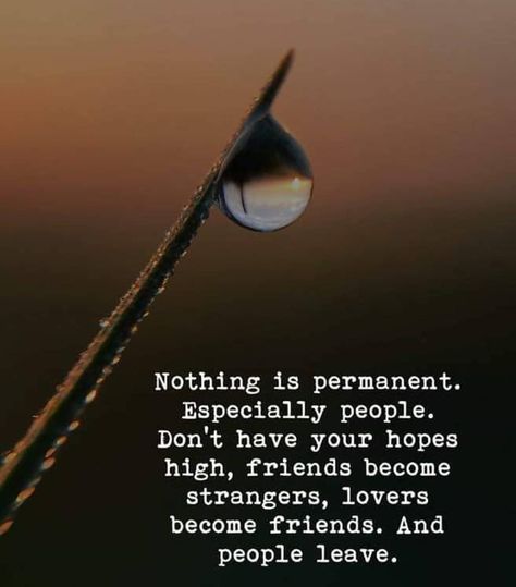 Nothing is permanent life quotes quotes quote life life lessons motivational quotes quotes and sayings life goals quotes to live by Ajahn Brahm, Nothing Is Permanent, Strong Mind Quotes, Albert Camus, Lesson Quotes, Life Lesson Quotes, Mindfulness Quotes, Good Life Quotes, Instagram Quotes