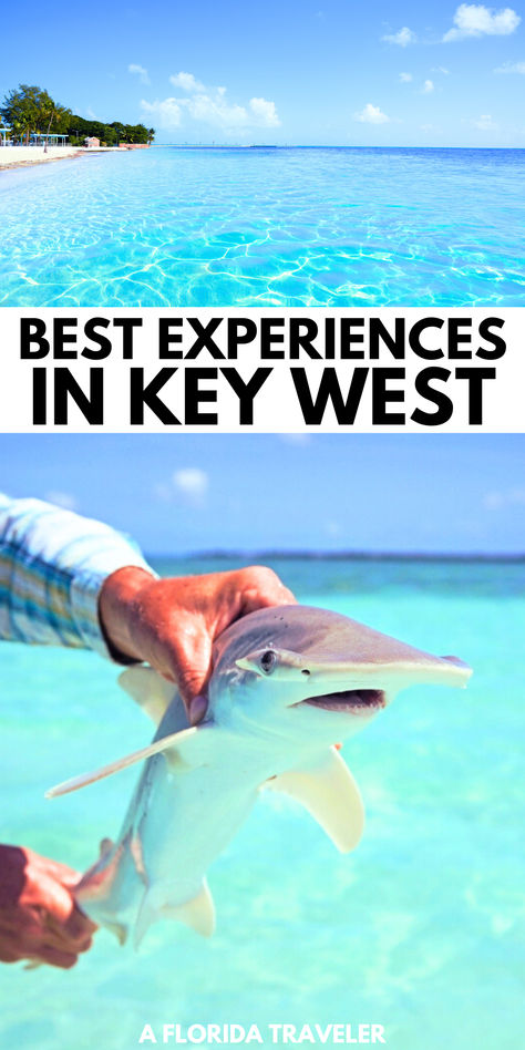 These are some of our favorite experiences in Key West Florida! If you are traveling to Key West, here are some of the best things to do. Key West Hidden Gems, Bungalows Key Largo Florida, Cudjoe Key Florida, Things To Do In The Florida Keys, Florida Keys Fishing, Key West Things To Do, Things To Do In Key West, Key West Florida Things To Do In, Things To Do In Key West Florida