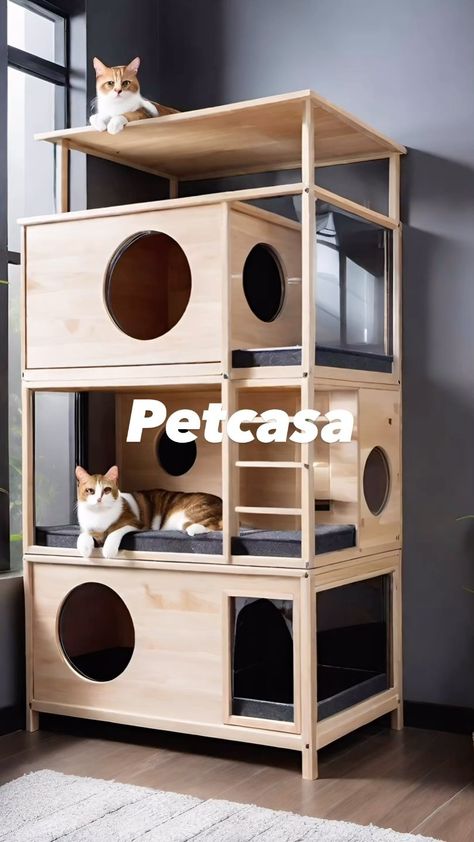 Instagram Wooden Cat House Indoor, Diy Cat House Ideas, Catios Ideas For Cats, Cat Condo Diy, Houses For Cats, Diy Cat House, Cat Climbing Wall, Cat Furniture Design, Wooden Cat House