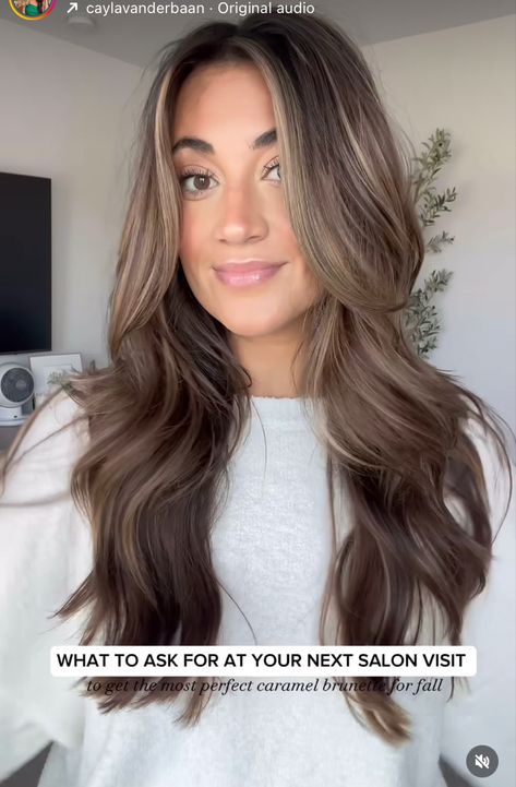 Brownie Batter Brunette Hair, Fall Brunette Hair Color Balayage, Blended Brunette, Fall Brunette Hair Color, Fall Brunette Hair, Fall Brunette, Blended Balayage, Bday Hair, Graduation Hair