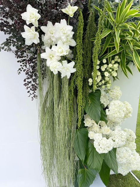 Wedding Columns, Curtain Green, Pre Wedding Photoshoot Props, Riviera Maya Weddings, Wedding Photoshoot Props, Wedding Backdrop Decorations, Church Flowers, Wedding Reception Inspiration, Wedding Decor Style