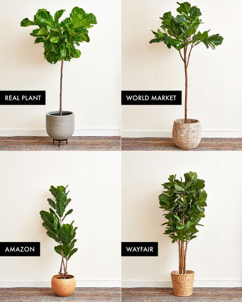 The Best Faux Fiddle Leaf Fig Tree | Apartment Therapy Fiddle Leaf Tree Pot Ideas, Indoor Faux Plants Decor, Faux Indoor Trees, Scandinavian Bungalow, Fake Indoor Trees, Faux Plant Decor, Ideas Para Decorar Jardines, Gardening Indoors, Fiddle Leaf Tree