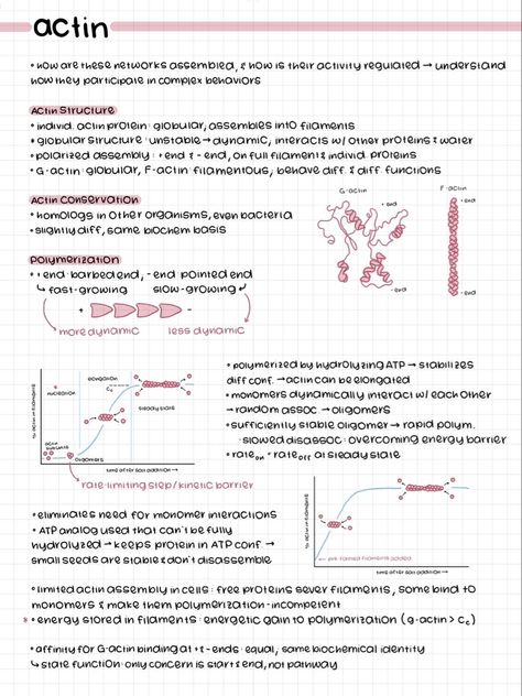 Online Notes Aesthetic Computer, Good Notes Notes Aesthetic, Aesthetic Notes Study Inspiration Ipad, I Pad Notes Aesthetic, Pretty Ipad Notes, Biology Notes Ipad, Goodnotes Inspo Notes, Notability Notes Ideas, Aesthetic Notes On Ipad