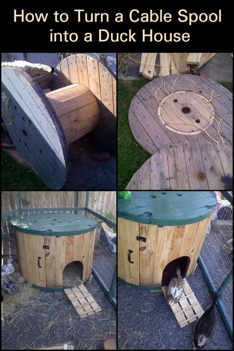 Floating Duck House For Pond, Small Duck Enclosure, Duck Lean To, Duck House From Pallets, Duck House Out Of Pallets, Pet Duck House, How To Build A Duck House, Diy Duck Ramp For Pool, Duck Pin Ideas