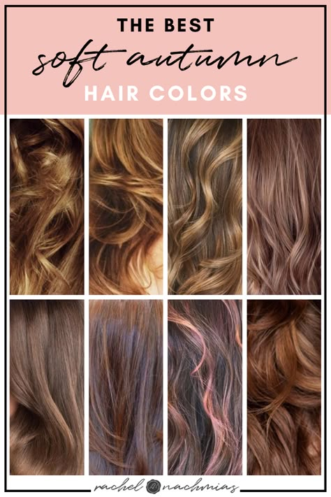 The Best Hair Colors for Soft Autumn — Philadelphia's Top Rated Color and Image Analysis Services Hair Color For Muted Autumn, Hoc Autumn Hair Color, Calm Autumn Hair Colors, Cool Autumn Hair Color, Make Up For Soft Autumn Type, Hair For Soft Autumn Skin Tone, Best Hair Color For Autumn Skin Tone, Soft Autumn Dark Hair, Hair Colour For Soft Autumn