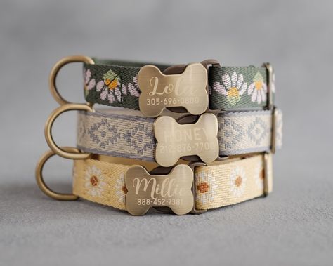 Dog Collar Pattern, Puppy Cut, Dog Collar Boy, Puppy Accessories, Cute Dog Collars, Girl Dog Collars, Personalized Dog Collars, Girl Dog, Boy Dog