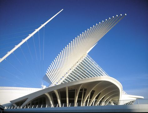 The Milwaukee Art Museum, designed by Santiago Calatrava. He has created so many other amazing structures. Can't wait to see this place in person. Santiago Calatrava Architecture, Museum Logo, Milwaukee Art Museum, Milwaukee Art, Santiago Calatrava, Amazing Buildings, Organic Architecture, Louvre Museum, Chinese Architecture