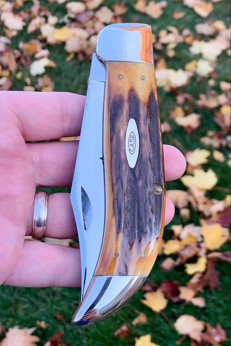 Vintage Knives, Back House, Switchblade Knife, Collector Knives, Pretty Knives, Collectible Knives, Case Knives, Folding Pocket Knife, Knife Collection