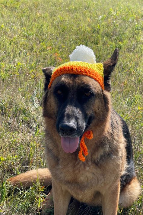 Crochet Dog Hat Tutorial Crochet Dog Hat Free Pattern Large, Crochet Dog Beanie, Dog Crochet Hat, Crochet Dog Hat Free Pattern, Candy Corn Dog, Crochet Dog Hat, Scrap Yarn Crochet, Crochet Cat Hat, Dog Beanie