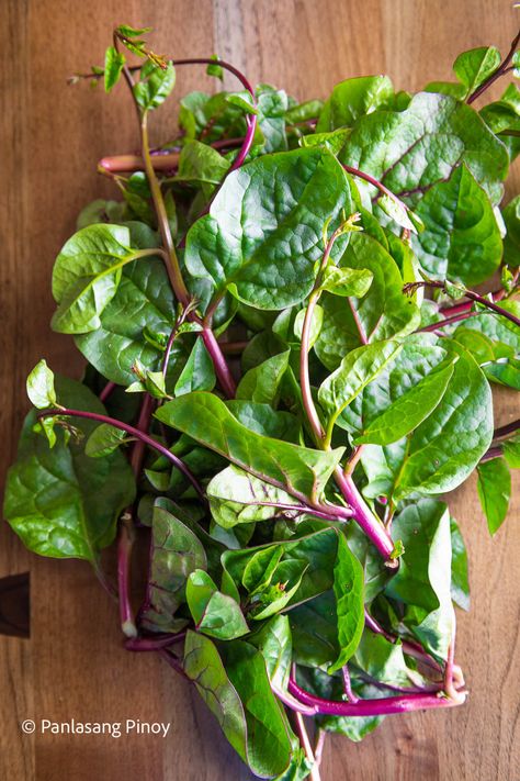 Banana Vitamins, Fruits And Vegetables Images, Malabar Spinach, Variety Food, Asian Meals, Filipino Cuisine, Filipino Food, Vegetable Garden Design, Health Wealth