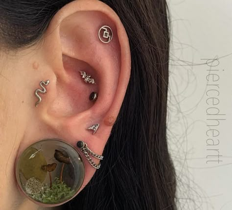 Cool Ear Piercing, Piercing Combos, Ear Curation, Ear Stretching, Cool Ear Piercings, Pretty Ear Piercings, Cool Piercings, Piercing Inspo, Inspo Art