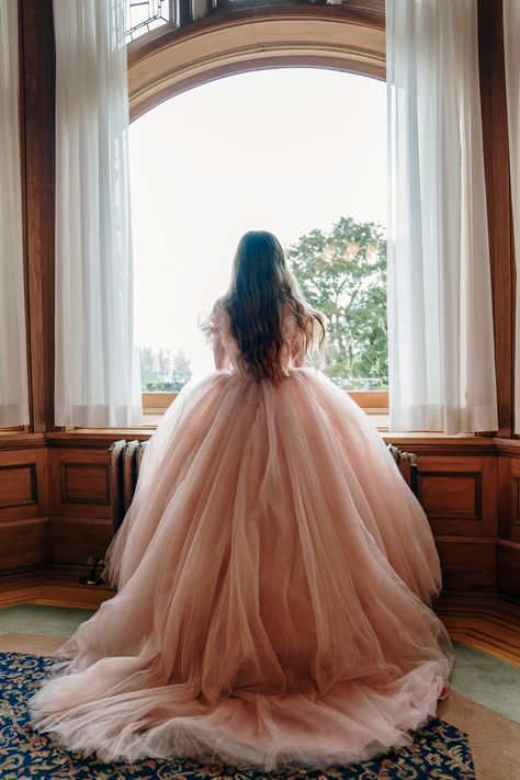 Big Dresses Aesthetic, Beautiful Dresses Princesses Gowns, Princess Gown Royalty, Pink Fantasy Dress, Ballgown Aesthetic, Princess In A Castle, Castle Dresses, Gown Aesthetic, Castle Dress