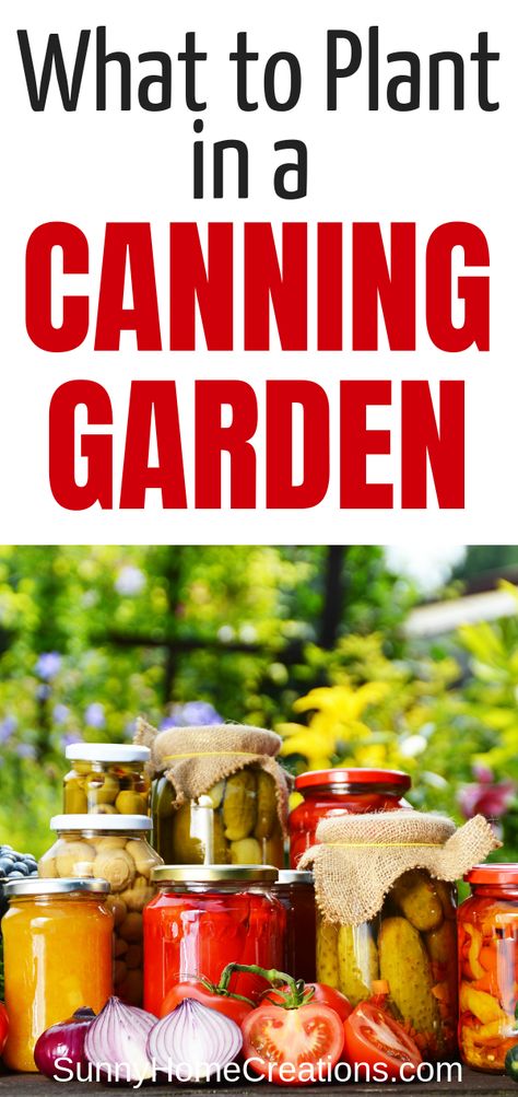 Diy Canning For Beginners, Gardening And Canning, Canning From Your Garden, Canning Garden Layout, Preserving Food From Garden, Best Foods For Canning, Outdoor Canning Kitchen Diy, Garden Canning Recipes, Backyard Farming Garden