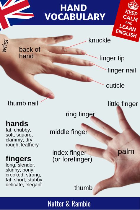 hands | hand vocabulary | English vocabulary| build vocabulary | Learn English | English language | vocabulary words | vocabulary list | vocabulary ideas | learn vocabulary | learn English vocabulary | English lesson | study English #hands #vocabulary #englishvocabulary #English #learnenglish #learnvocabulary #nar Voculabary Words English, Voculabary Words, Human Body Vocabulary, Vocabulary Ideas, English Vocabulary List, Building Vocabulary, Words Vocabulary, Vocabulary English, Learn Vocabulary