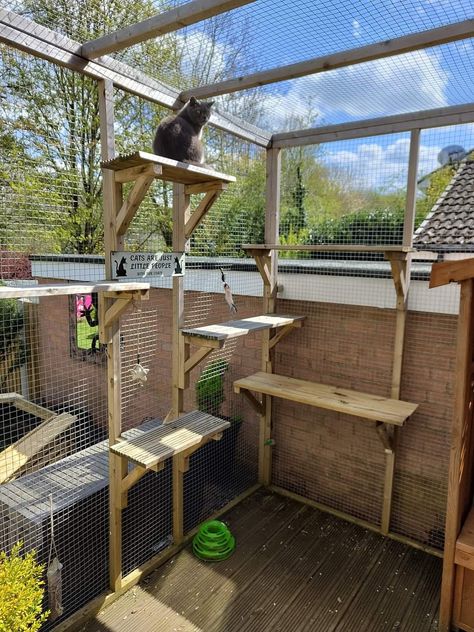 Catio Cat Apartment, Cat Condo Outdoor, Catios Ideas For Cats, Cat Backyard, Cat Herder, Cat Proof Balcony, Outdoor Cat Tree, Custom Cat Trees, Cat Apartment