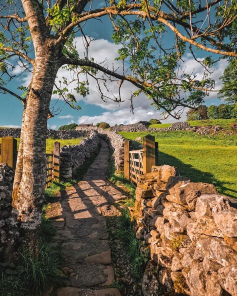 Grassington | Photographe : @adve_nturesinyorkshire sur Instagram Free Jigsaw Puzzles, Free Online Jigsaw Puzzles, Dry Stone Wall, Dry Stone, British Countryside, Stone Walls, Yorkshire Dales, Landscape Features, Henry David Thoreau