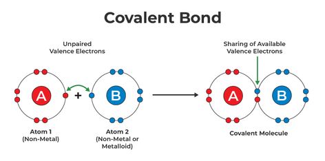 Chemical Bonds Notes, Polar Covalent Bonds, Carbon And Its Compounds Class 10, Covalent Bonds Notes, Electron Affinity, Ionic And Covalent Bonds, Octet Rule, Covalent Bonds, Ionization Energy