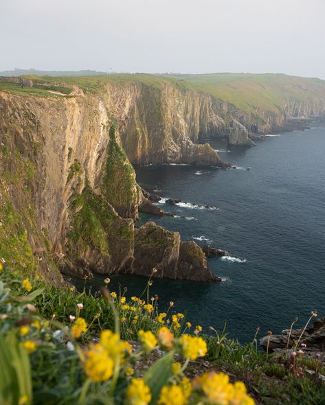 MUST places to visit in Ireland, PT. 1️⃣ If you are planning to explore Ireland anytime soon, you might want to add some of these spots to your bucket lists. Some of them are well known, some not as much. But all of them are definitely bucket list-worthy. ☺️🙌 I will be sharing more of these, so keep an eye out. 👀 📍Sheep’s Head Lighthouse (hike), County Cork 📍Cliffs of Moher, County Clare 📍The Old Head of Kinsale, County Cork 📍Dromana Gate, County Waterford (the only one of it’s kind in Ire... Old Head, Cork City, County Clare, County Cork, Cliffs Of Moher, Free Day, Public Transport, Day Trip, A Car