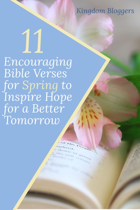 Spring is a time of blooming flowers and bright colors. But Spring also has Biblical meaning! Here are 11 Bible verses about Spring. #bibleverse #biblestudy #kingdombloggers Spring Scripture, Hello Spring Quotes, Spring Bible Verses, Refresh Your Mind, Spring Quotes, Dwelling On The Past, Bible Verse Cards, Encouraging Bible Verses, Verses For Cards