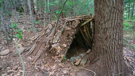 Shelters In The Woods, Lean To Shelter, Long Term Survival, Forest Hut, Wilderness Survival Shelter, Survival Skills Emergency Preparedness, Hoping For The Best, Seminole Indians, Bushcraft Shelter