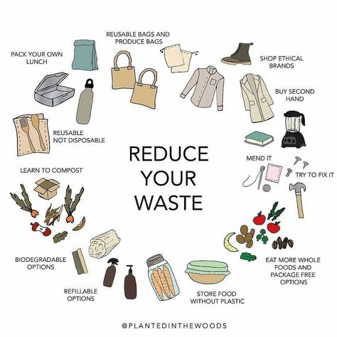 How to reduce waste? Here's a start!⠀⠀⠀⠀⠀⠀⠀⠀⠀ .⠀⠀⠀⠀⠀⠀⠀⠀⠀ .⠀⠀⠀⠀⠀⠀⠀⠀⠀ .⠀⠀⠀⠀⠀⠀⠀⠀⠀ .⠀⠀⠀⠀⠀⠀⠀⠀⠀ .⠀⠀⠀⠀⠀⠀⠀⠀⠀ .⠀⠀⠀⠀⠀⠀⠀⠀⠀ Credit @plantedinthewoods… Plastik Recycling, Live With Less, Waste Free Living, Environmentally Friendly Living, Eco Life, Eco Lifestyle, Save Our Earth, Waste Free, Zero Waste Living