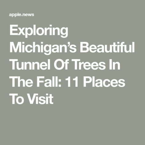 Exploring Michigan’s Beautiful Tunnel Of Trees In The Fall: 11 Places To Visit Tunnel Of Trees, Lake Michigan, In The Fall, Snakes, The Fall, The Road, Bucket List, Michigan, Places To Visit