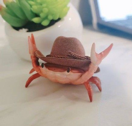 Cowboy Hat, Crab, Books Wattpad, Cowboy, Wattpad, Humor, Memes, Books, Humour