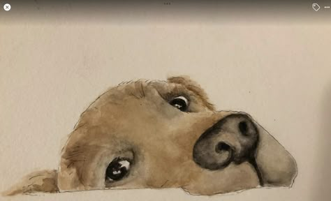 강아지 그림, Diy Watercolor Painting, Watercolor Dog, Dessin Adorable, Dog Illustration, Watercolor Ideas, Art Inspiration Painting, Dog Drawing, Dog Paintings